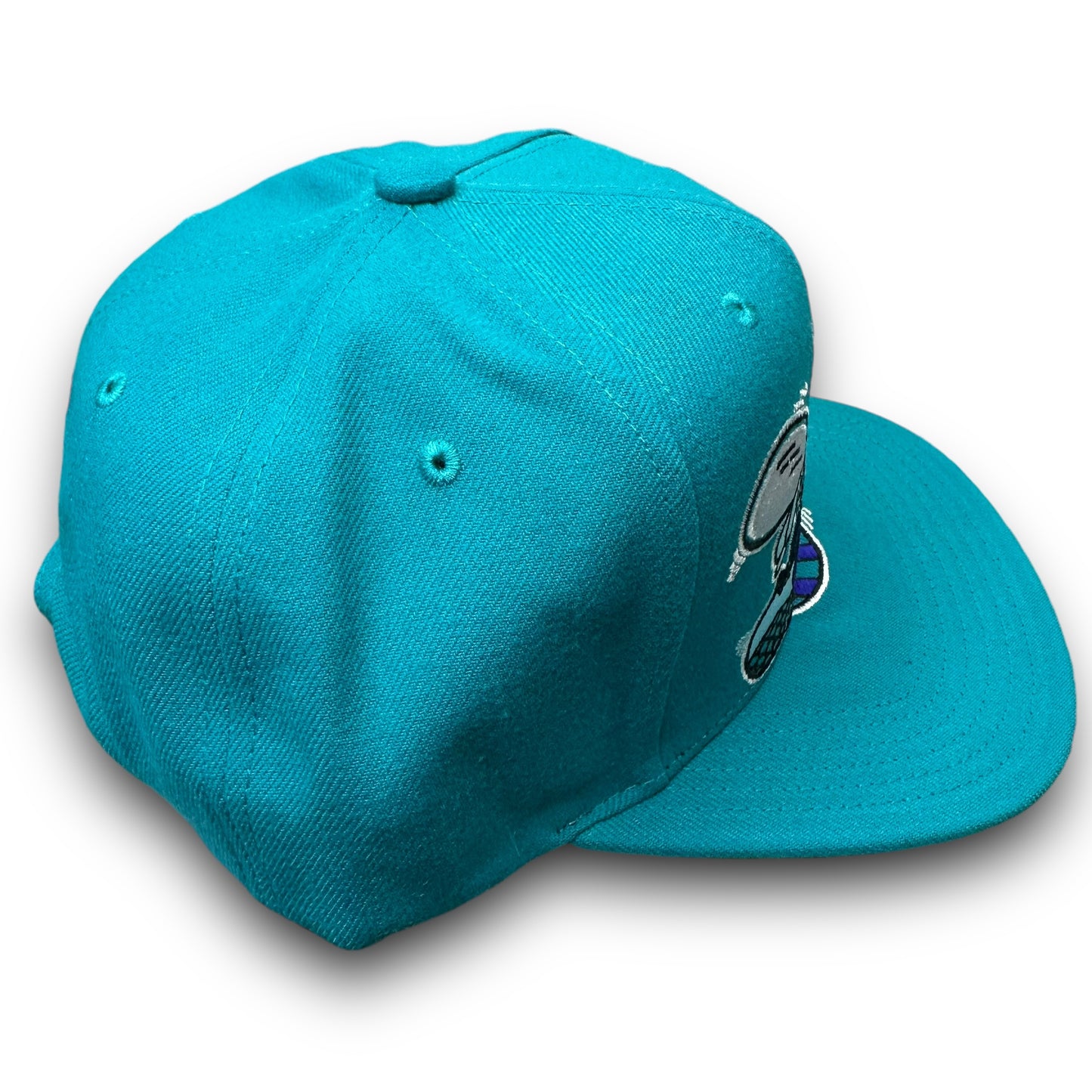 GORRA M&N CHARLOTTE HORNETS