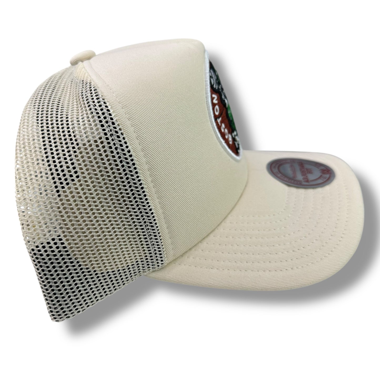 GORRA M&N BOSTON CELTICS