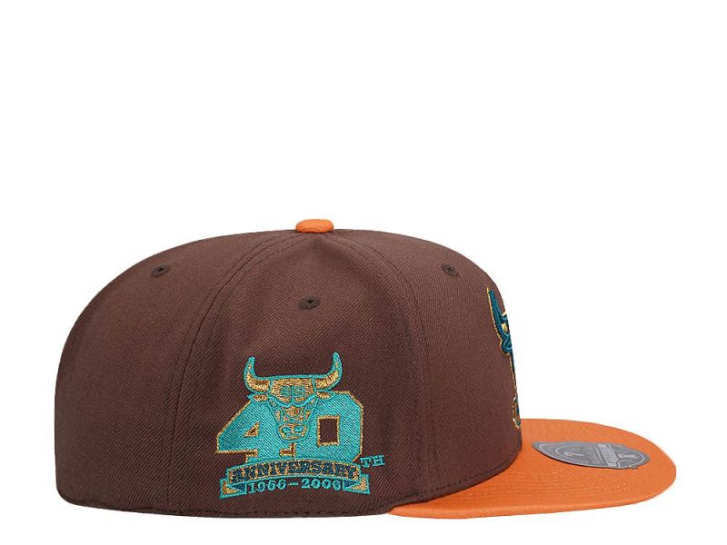 Mitchell & Ness Chicago Bulls 40th Anniversary