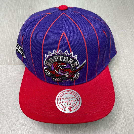 GORRA M&N RAPTORS