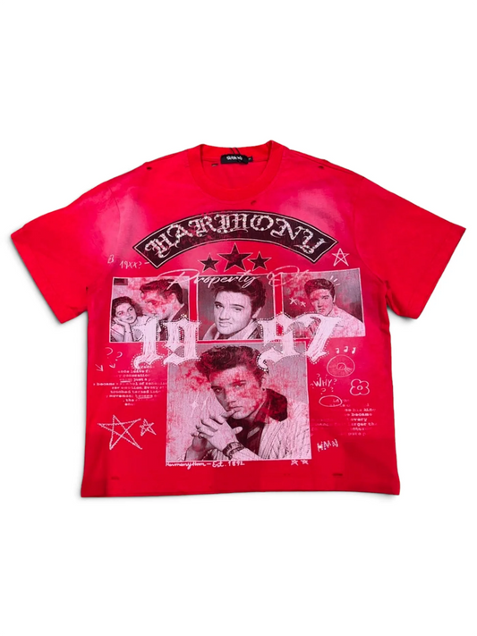 CAMISETA HARMONY