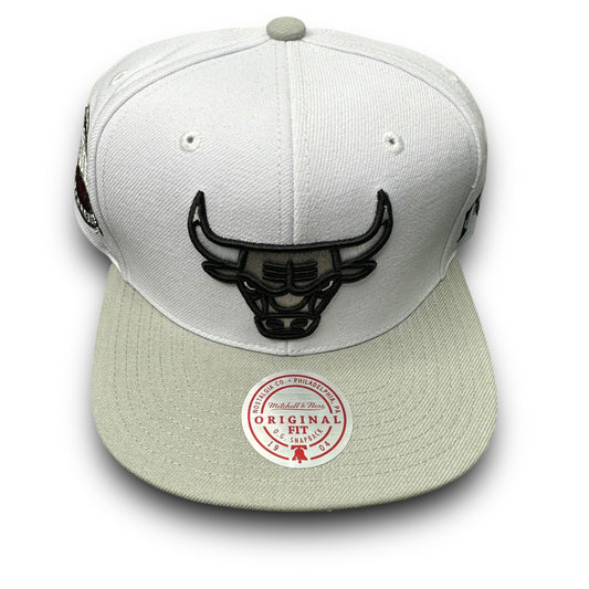 GORRA M&N CHICAGO BULLS