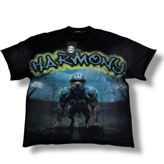 CAMISETA HARMONY