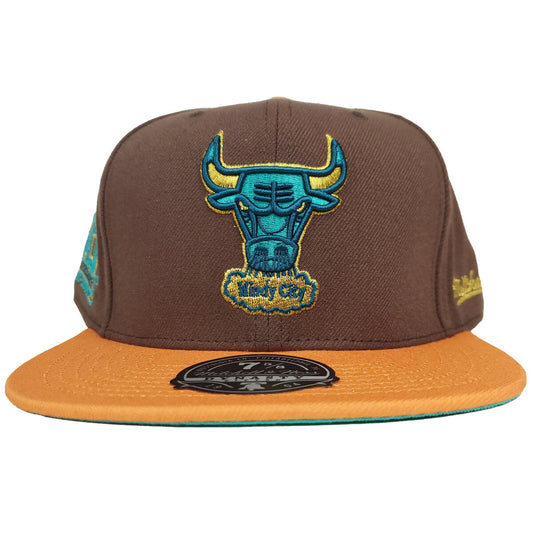 Mitchell & Ness Chicago Bulls 40th Anniversary